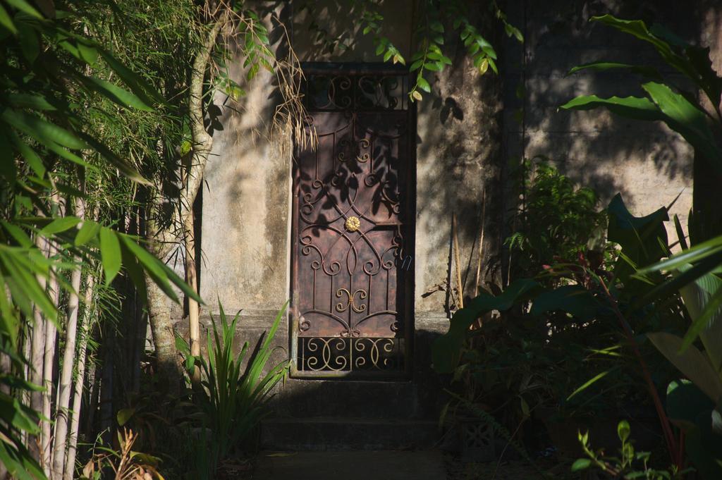 Taman Rahasia Tropical Sanctuary And Spa Ubud Kültér fotó