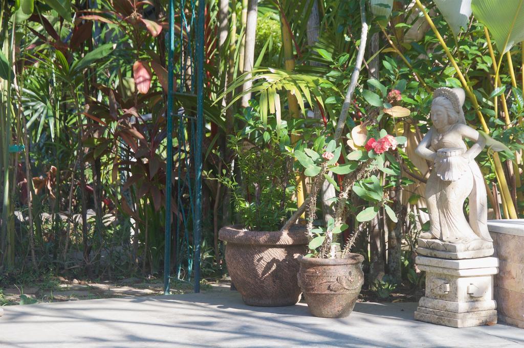 Taman Rahasia Tropical Sanctuary And Spa Ubud Kültér fotó